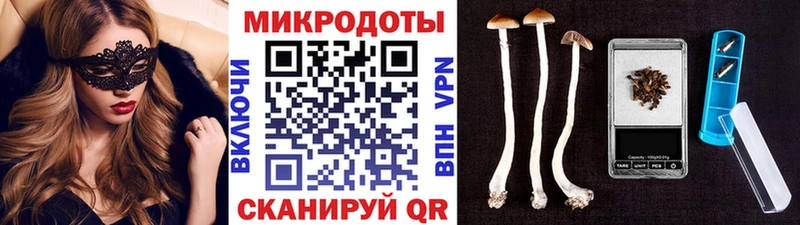 Галлюциногенные грибы ЛСД  Купить закладки  Котовск 